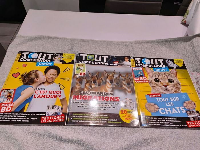 Lot N°2, 3 magazines TOUT COMPRENDRE