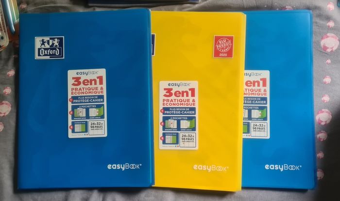 Lot de 3 cahiers easy book 24x32cm 96 pages grands carreaux NEUFS