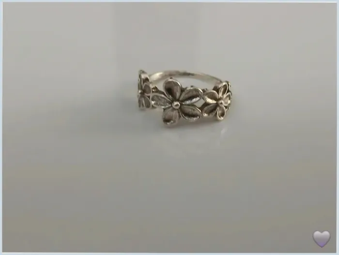 Bague en acier inoxydable