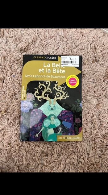 La belle et la bête collège