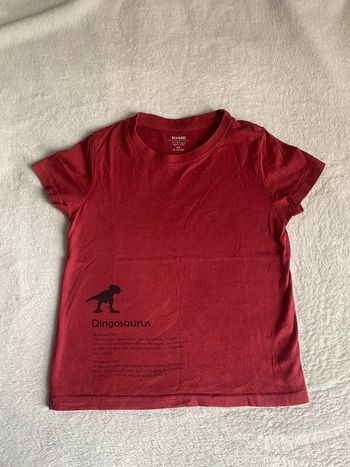 Joli tee-shirt Dinosaure / Coton bio