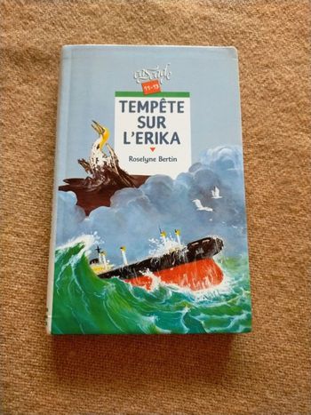 Tempête sur l'Erika de Roselyne Bertin