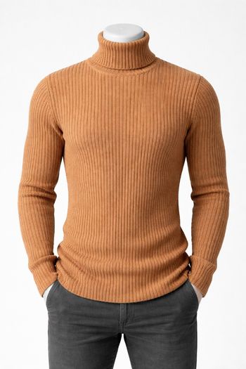 Pull col roulé 