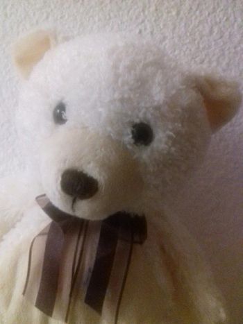 Nounours 50cm