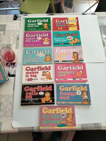 11 livres Garfield