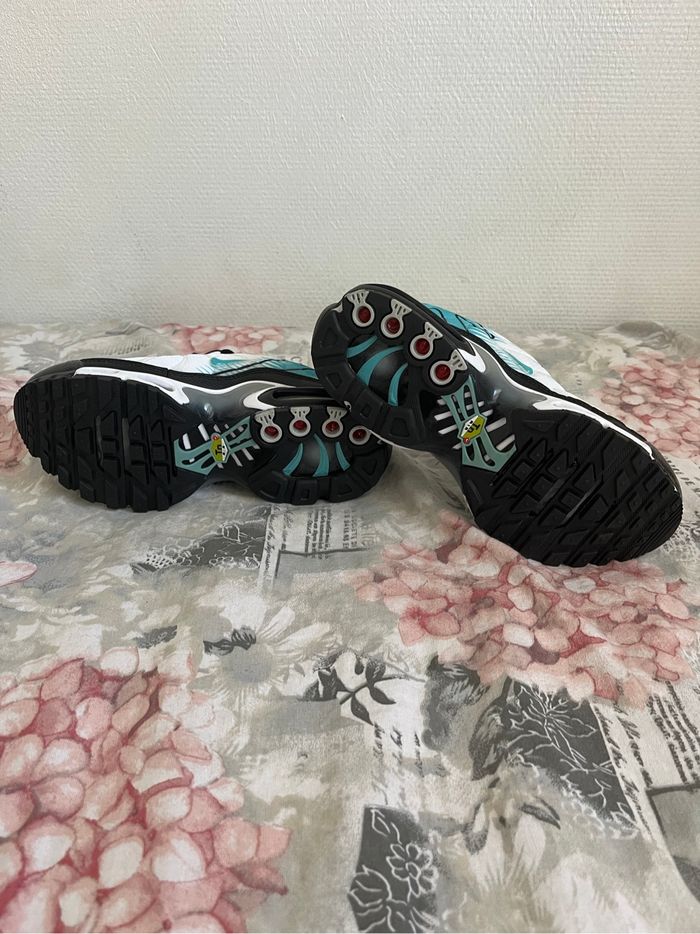 Tn  Neufs - photo numéro 6