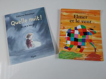 📚 Lot de 2 livres jeunesse – Elmer & Quelle nuit !