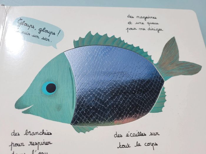 Beau livre animé 🦀 Mes animaux des mers 🐬 à toucher 🦐 Milan Jeunesse (72) - photo numéro 6