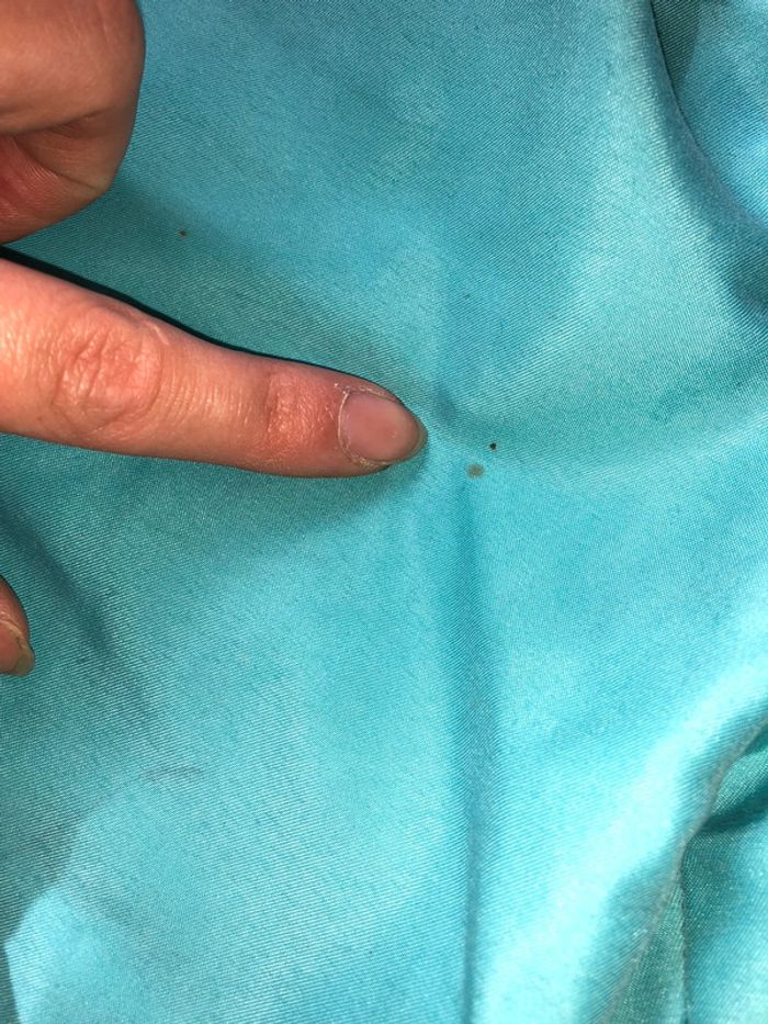 Short de bain - photo numéro 2