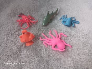 Lot 5 animaux marins