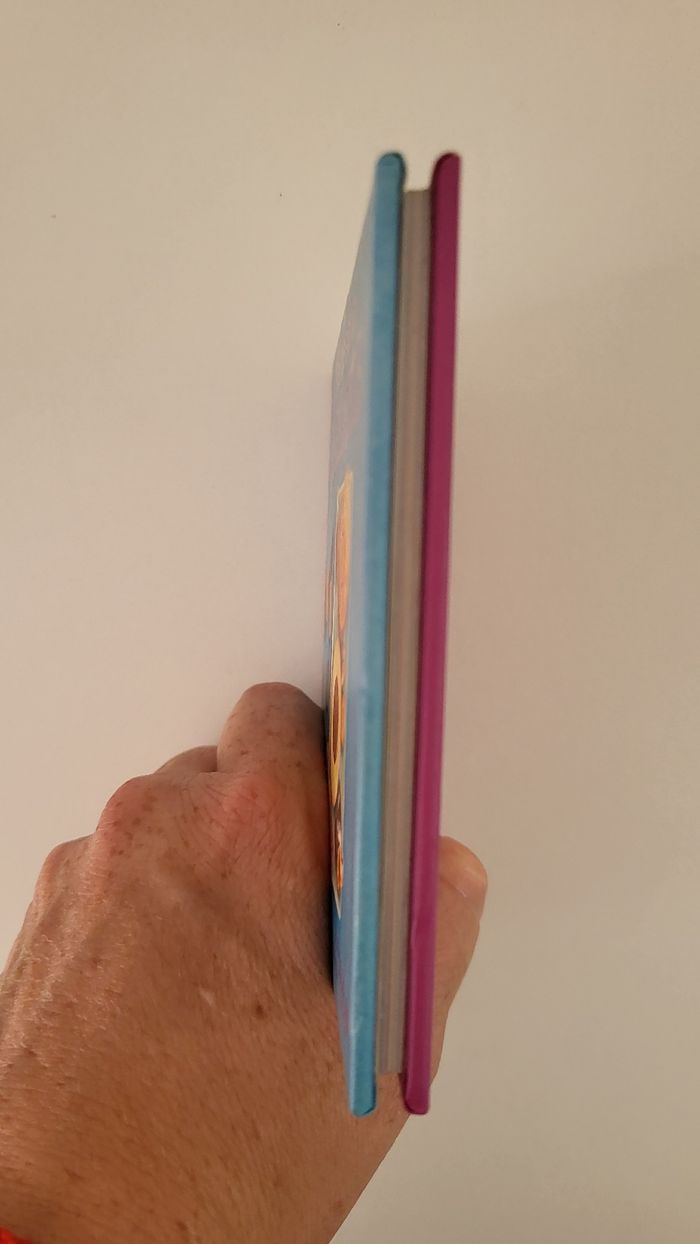 Livres de recettes - photo numéro 4