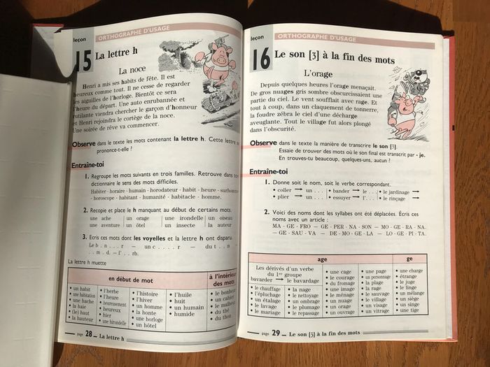 Orthographe CE1 - CE2 Livre de l’élève - photo numéro 2