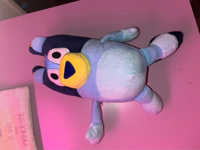 Famille bluey - photo numéro 5