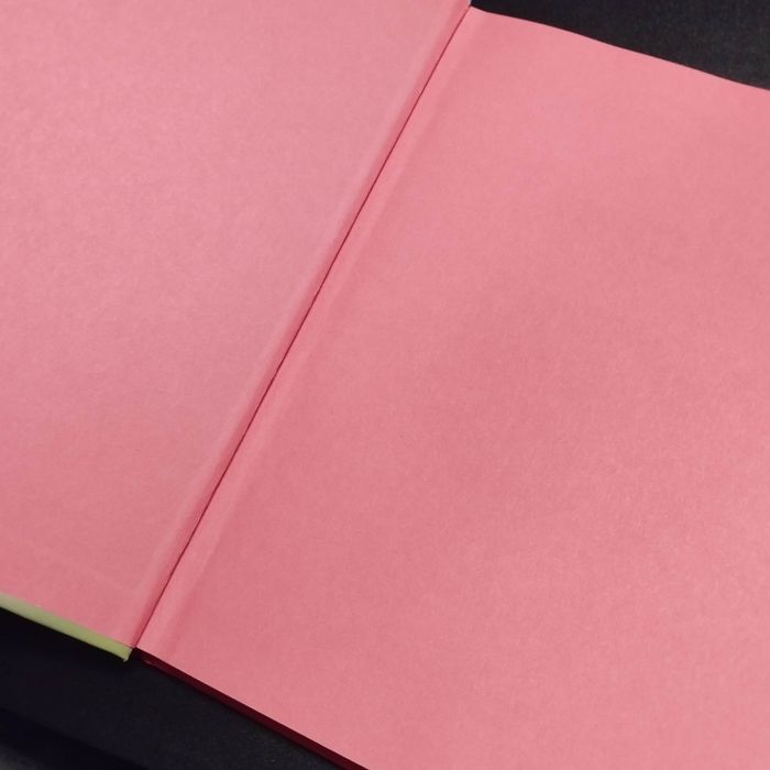 Livre Disney Dumbo - photo numéro 3