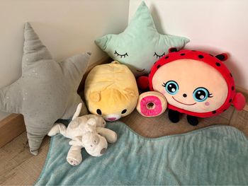 Lot peluches + tapis