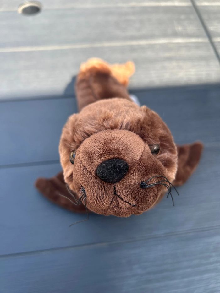 peluche otarie phoque morse lion de mer Californian Sealion Nausicaa - photo numéro 3