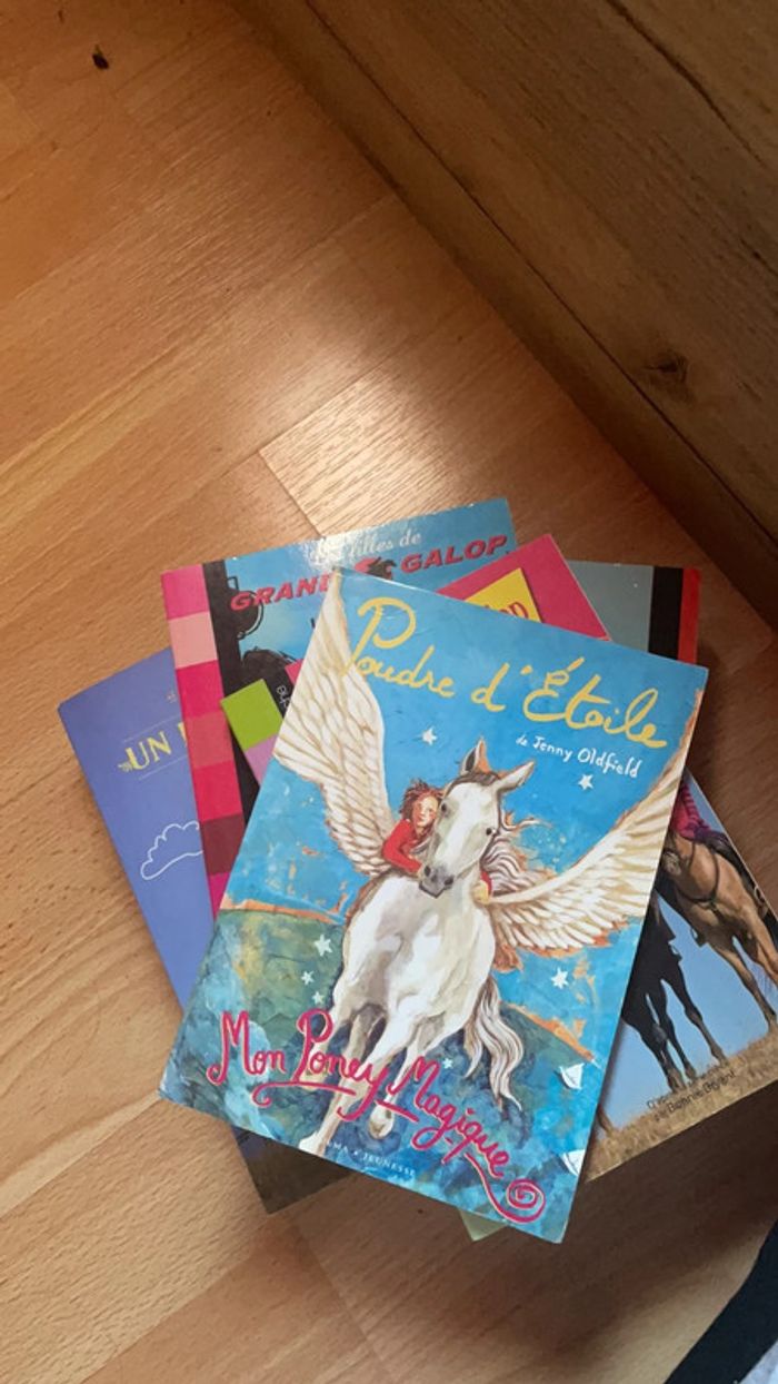 6 Livres sur les cheveaux
