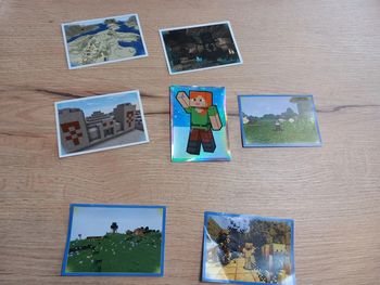 Vignettes Panini Minecraft : Wonderful World - Sticker Album - Panini 2022