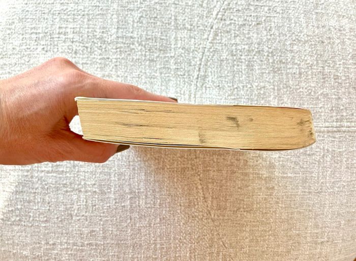 Livre Un fou dans l'art - Confessions d'un serial-collectionneur de Jean Albou - photo numéro 5