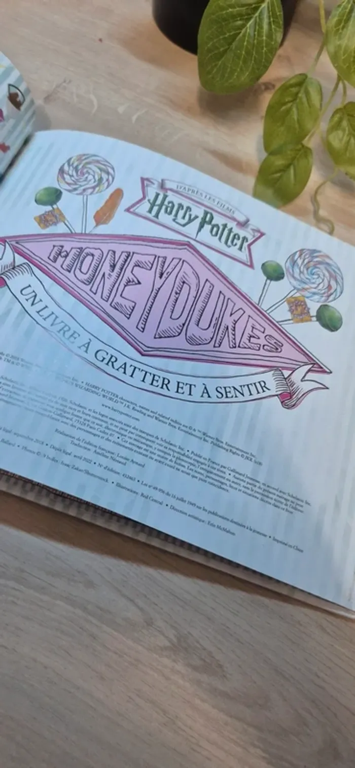 Livre harry potter honeydukes - photo numéro 3