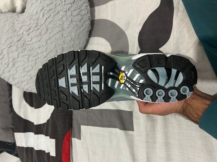 tn palm 41 - photo numéro 2