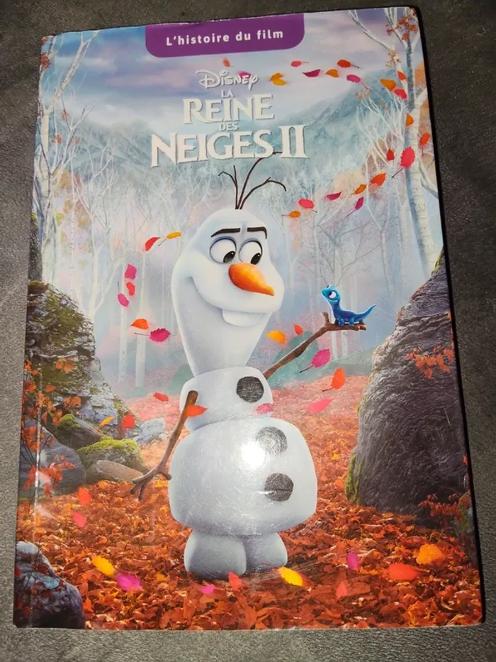Livre la reine des neiges