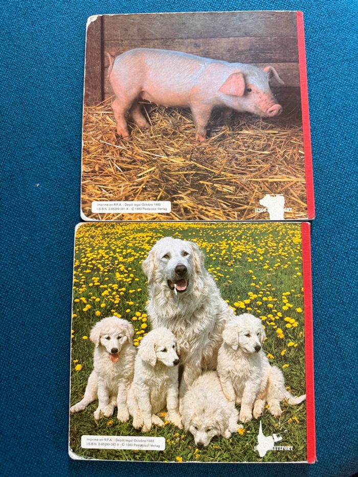 Lot de 2 livres anciens carton cartonnés Dans le pré + Bébés animaux campagne bouton d’or - photo numéro 2