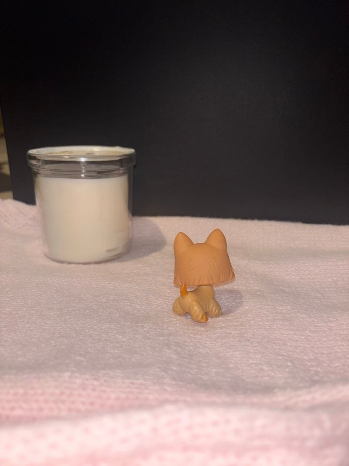 scottie #249 - photo numéro 3