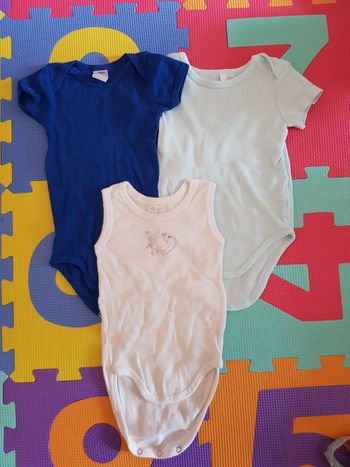 Lot de 3 Bodies manches courtes