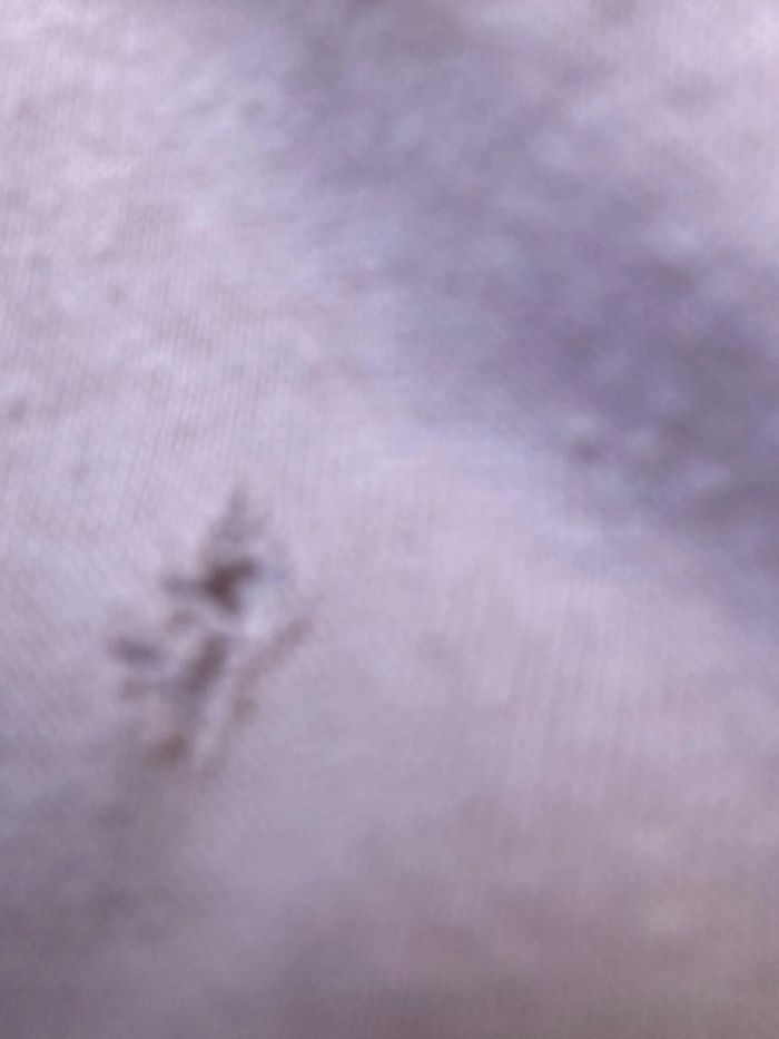 pantalon sport - photo numéro 4