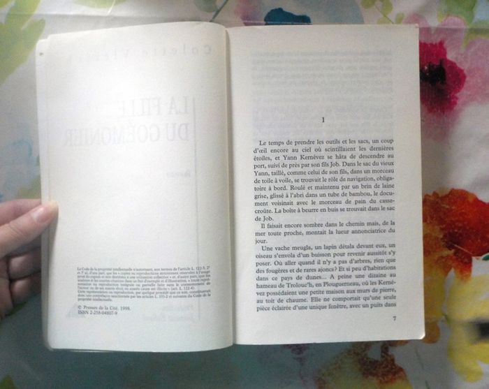 La fille du goémonier de Colette Vlérick Ed. Presses de la Cité - photo numéro 6