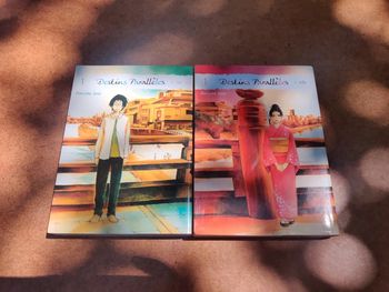 Lot 2 manga destins parallèle lui et elle