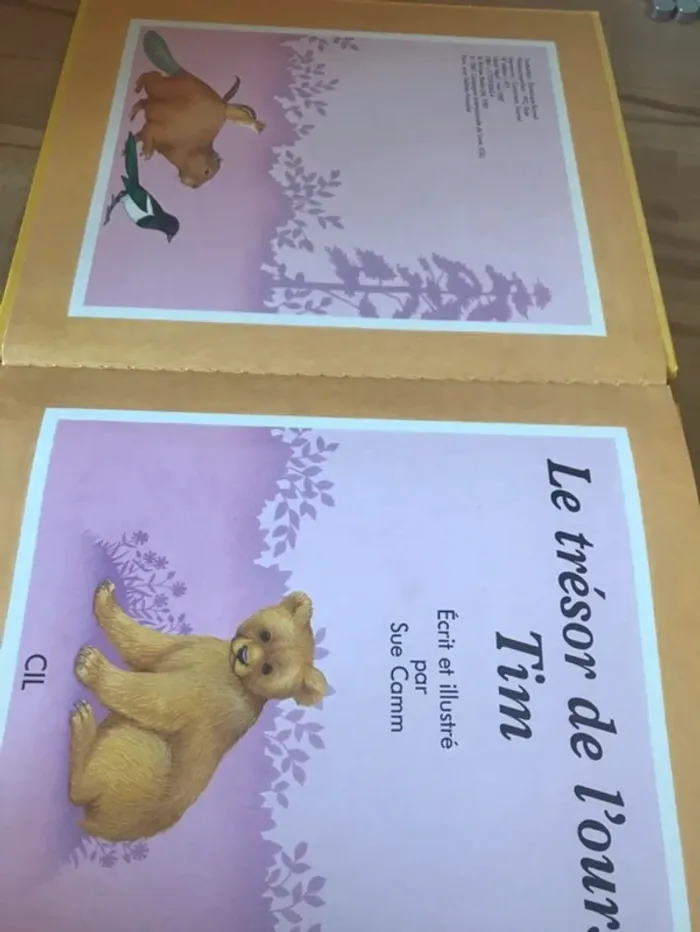 livre  le trésor de l’ours tim - photo numéro 7