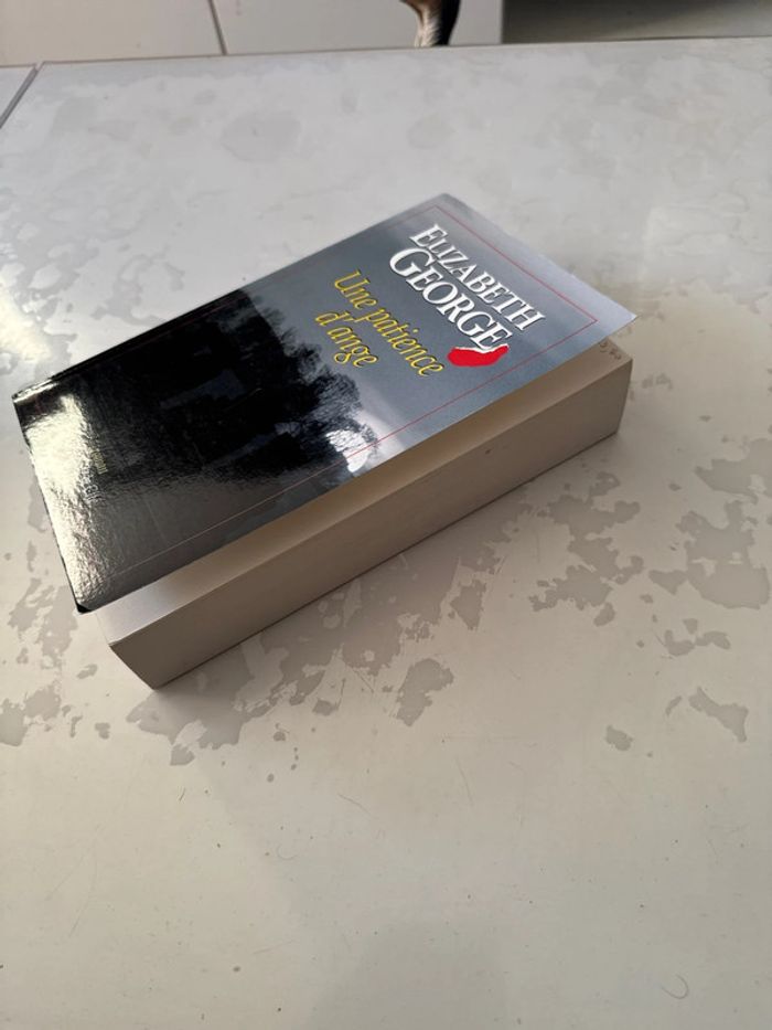 Livre une patiente d’ange - Elizabeth George - photo numéro 2