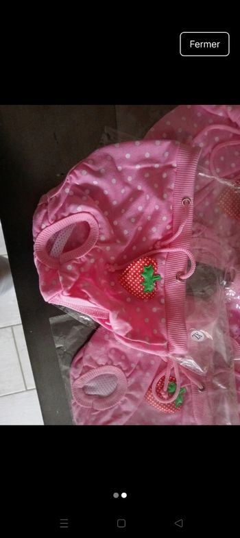 Culottes chien