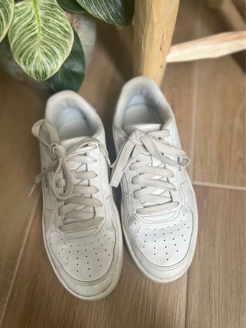 Basket Puma