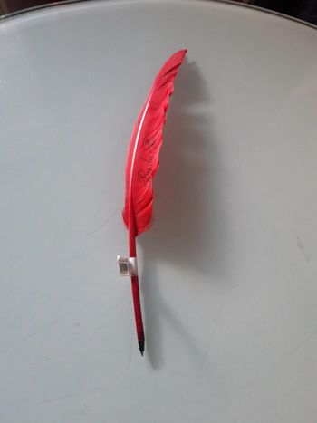 Plume Colorée Bic Puy du fou