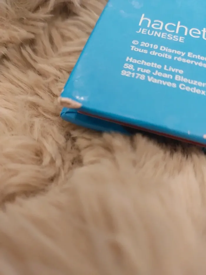 Livre la reine des neiges 2 - photo numéro 4