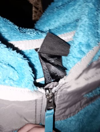 Veste the North face