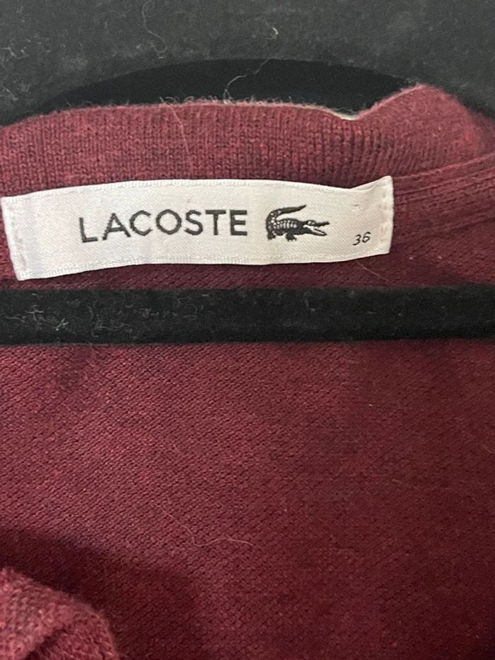 Polo Lacoste - photo numéro 2