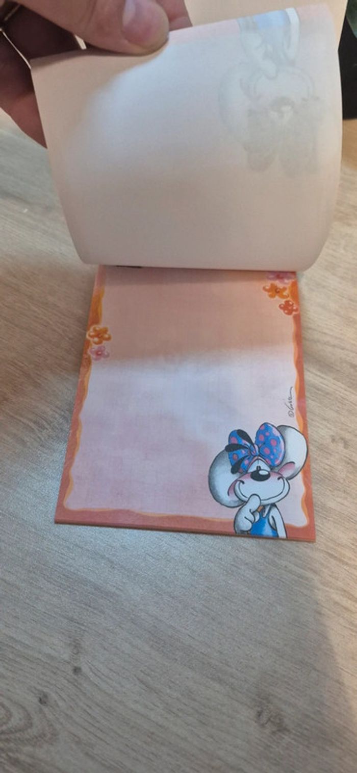 Carnet de feuilles diddl - photo numéro 4