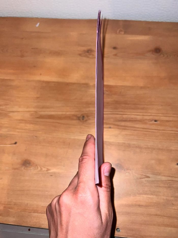 Feuilles diddlina rose - photo numéro 2