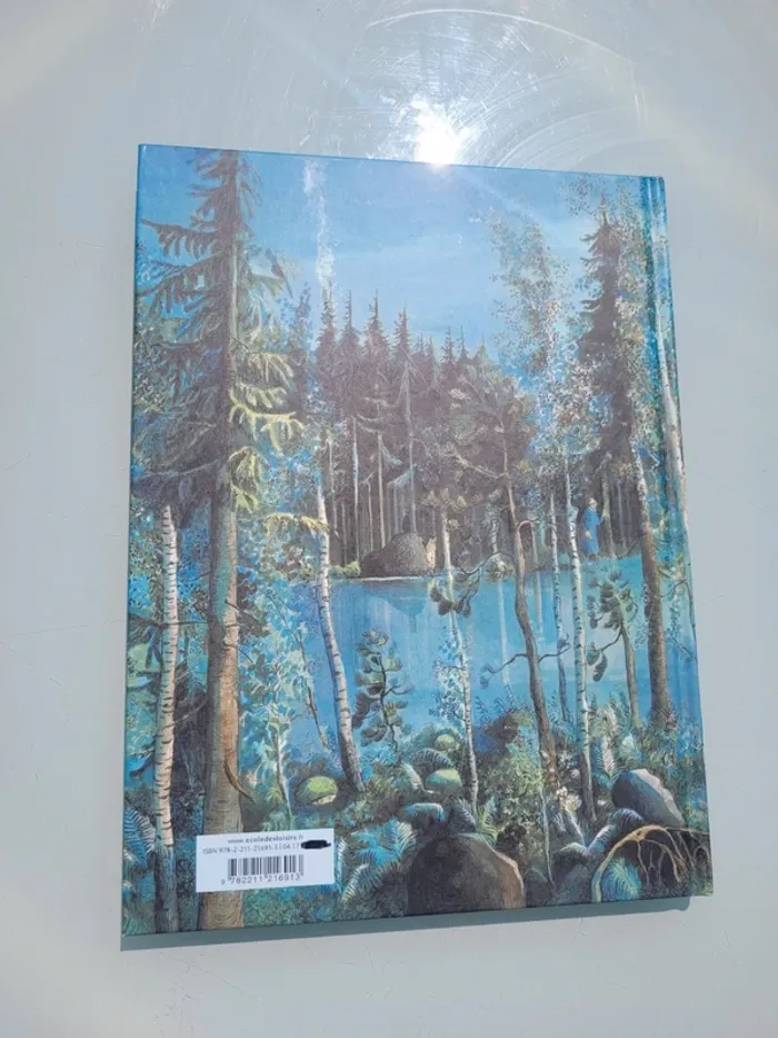 Livre couverture rigide, grand format, l'école des loisirs, La Grande Forêt, le pays des Chintiens - photo numéro 10
