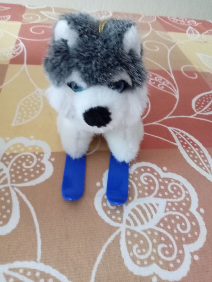 Peluche "husky sur ski "