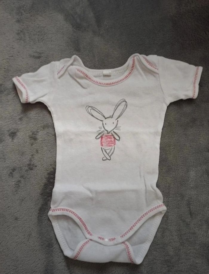 Lot de 5 bodies 3 mois - photo numéro 3