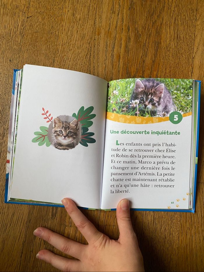 Livre Bienvenue au refuge Chaton en danger - photo numéro 3