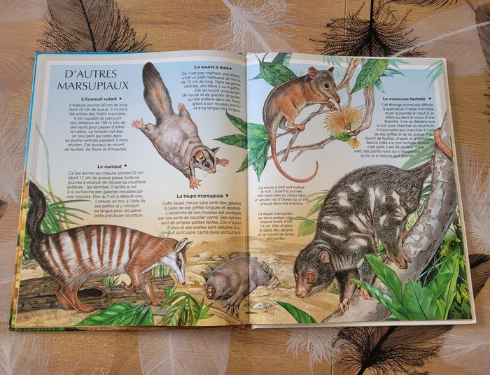 Les Animaux d'Australie Emilie Beaumont, Mia-Betti Ferrero - photo numéro 3