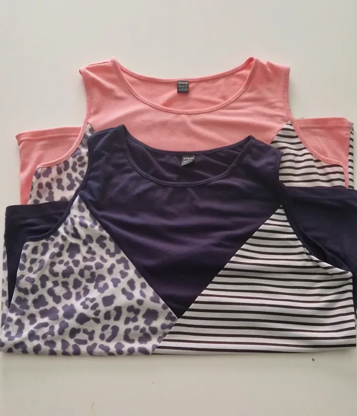 Lot de 2 tops rayés et léopard