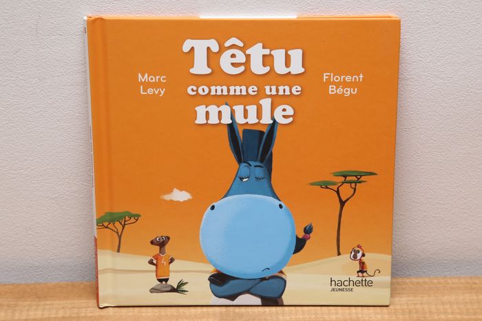 Têtu comme une mule - photo numéro 1