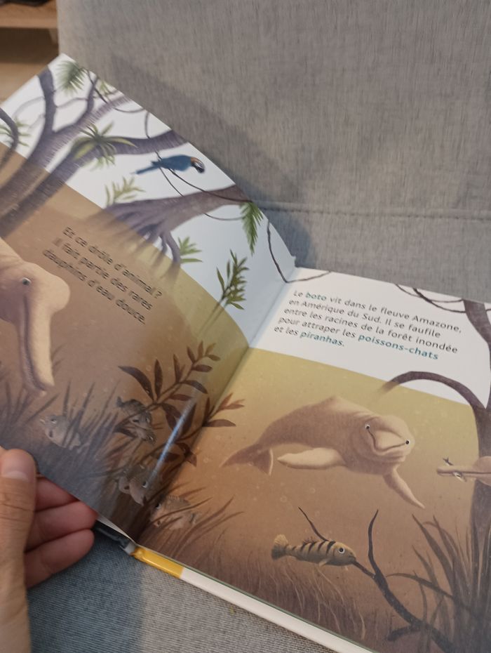 Livre p'tit docs les dauphins - photo numéro 4